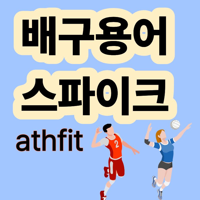 배구용어 배구 스파이크