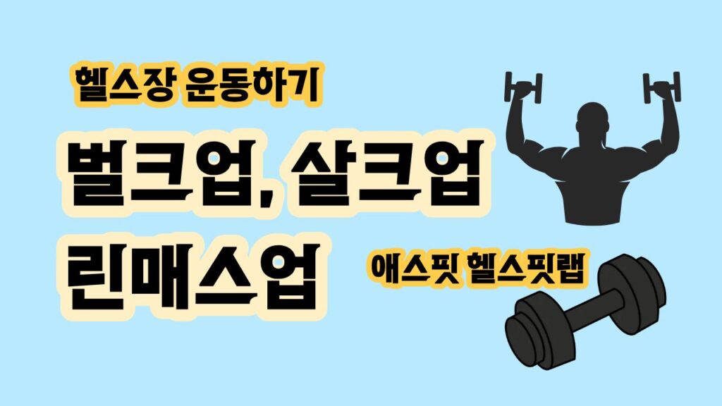 벌크업 린매스업 살크업 개념정의 헬스장 운동
