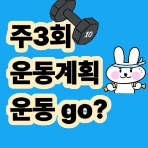 주3회 운동계획 운동 GO