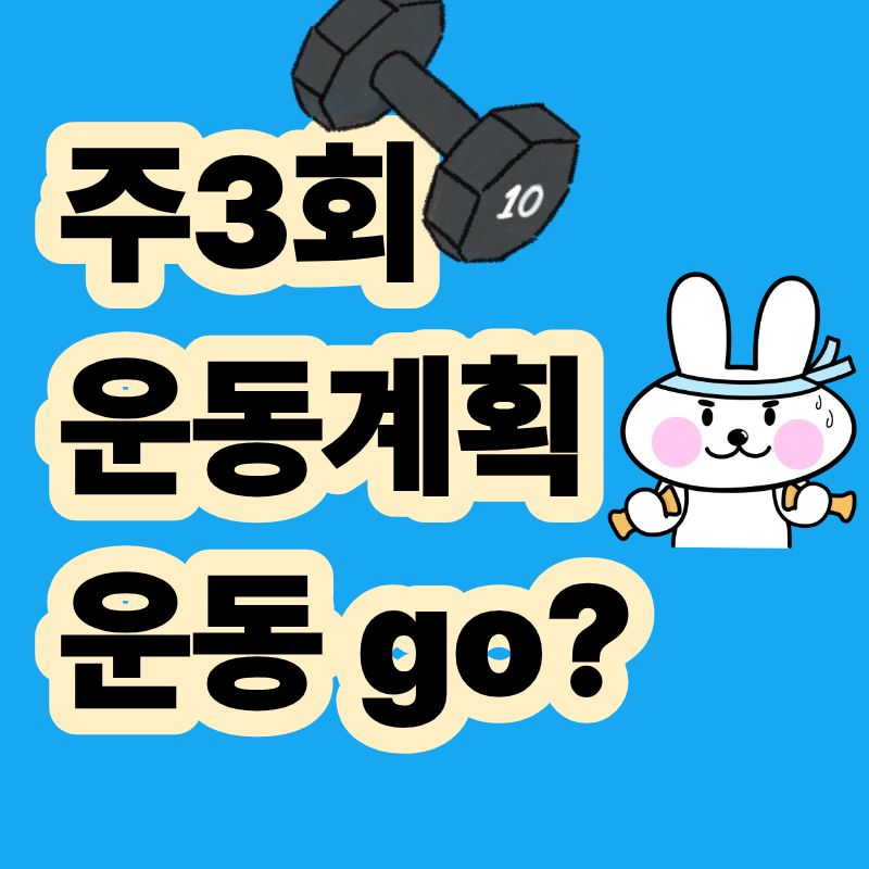 주3회 운동계획 운동 GO