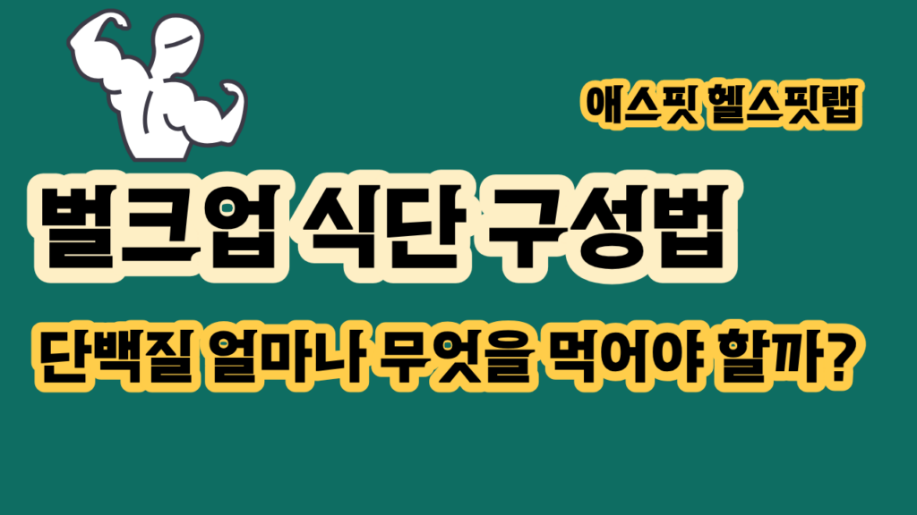 벌크업 식단 구성법 단백질 얼마나 먹어야 할까