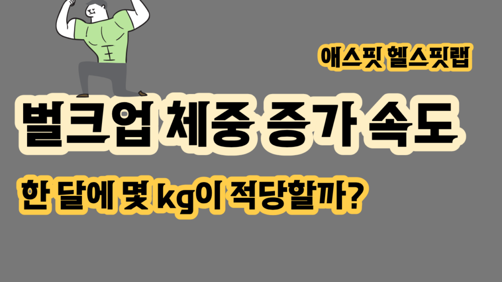 벌크업 체중 증가 속도 한 달에 몇 kg이 적당할까