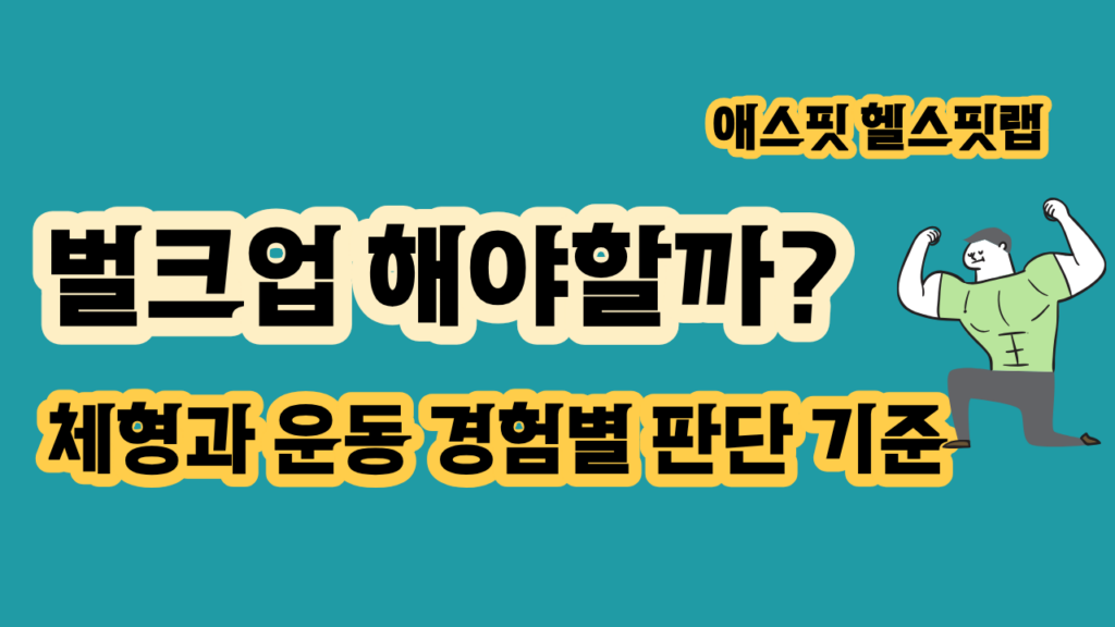벌크업 해야 할까 체형과 운동 경험별 판단 기준