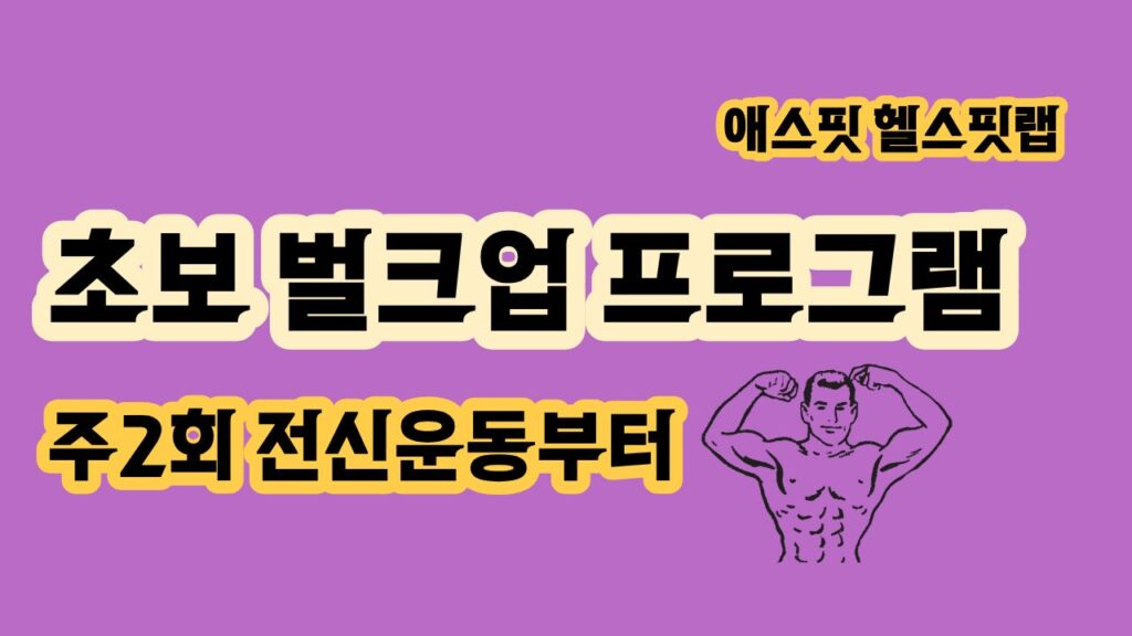 초보 벌크업 프로그램 주2회 전신운동부터 시작하는 방법